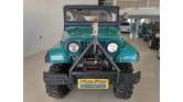FORD - JEEP - 1980/1980 - Verde - R$ 55.000,00